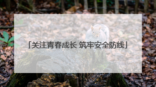 关注青春成长 筑牢安全防线