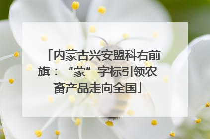 内蒙古兴安盟科右前旗：“蒙”字标引领农畜产品走向全国