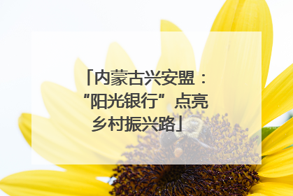 内蒙古兴安盟：“阳光银行”点亮乡村振兴路