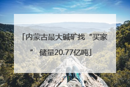 内蒙古最大碱矿找“买家” 储量20.77亿吨