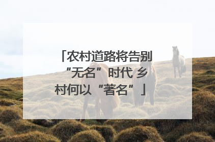 农村道路将告别“无名”时代 乡村何以“著名”