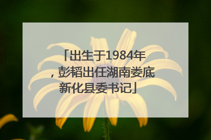 出生于1984年，彭韬出任湖南娄底新化县委书记