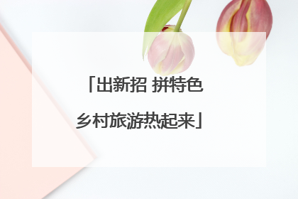 出新招 拼特色 乡村旅游热起来