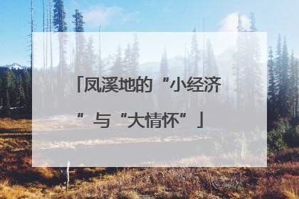 凤溪地的“小经济”与“大情怀”