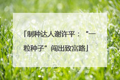 制种达人谢许平：“一粒种子”闯出致富路