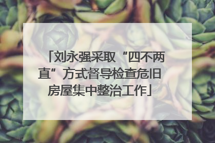 刘永强采取“四不两直”方式督导检查危旧房屋集中整治工作