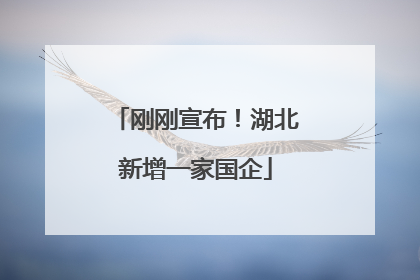 刚刚宣布！湖北新增一家国企