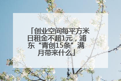 创业空间每平方米日租金不超1元，浦东“青创15条”满月带来什么