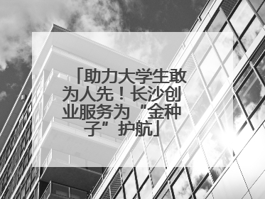 助力大学生敢为人先！长沙创业服务为“金种子”护航