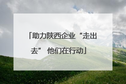 助力陕西企业“走出去” 他们在行动