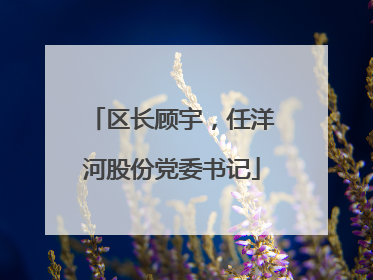 区长顾宇，任洋河股份党委书记