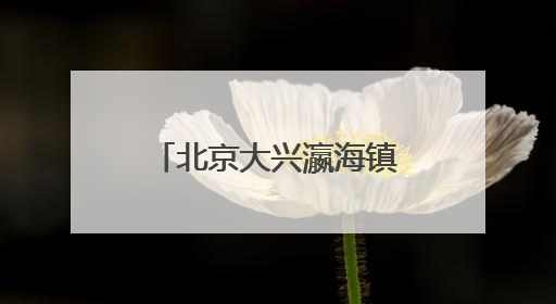 北京大兴瀛海镇“瀛”麦相承小麦丰收开镰 奏响农文旅融合新乐章