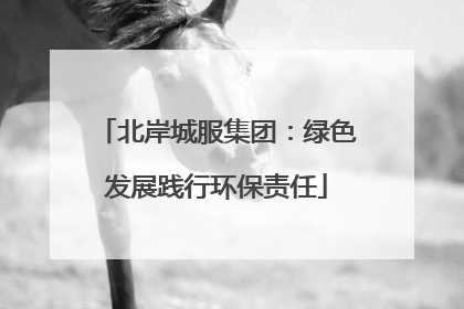 北岸城服集团：绿色发展践行环保责任