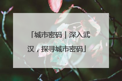 城市密码｜深入武汉，探寻城市密码