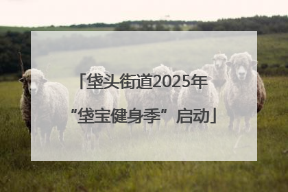 垡头街道2025年“垡宝健身季”启动