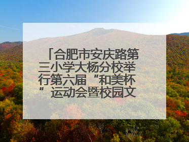 合肥市安庆路第三小学大杨分校举行第六届“和美杯”运动会暨校园文化艺术节