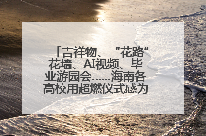 吉祥物、“花路”花墙、AI视频、毕业游园会……海南各高校用超燃仪式感为学子青春“存档”