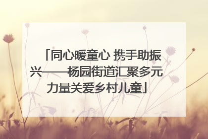 同心暖童心 携手助振兴——杨园街道汇聚多元力量关爱乡村儿童