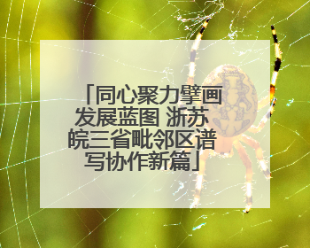 同心聚力擘画发展蓝图 浙苏皖三省毗邻区谱写协作新篇
