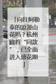 向往阿勒泰的浪漫山花吗？杭州藏着“同款”，已全面进入盛花期