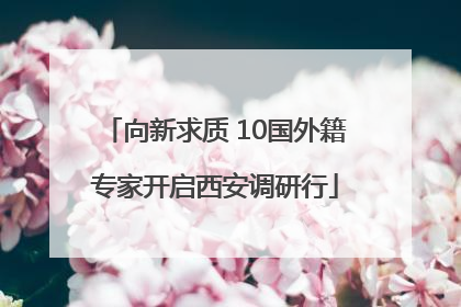 向新求质 10国外籍专家开启西安调研行