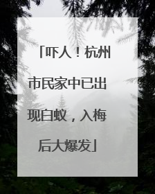 吓人！杭州市民家中已出现白蚁，入梅后大爆发