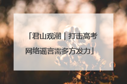 君山观潮｜打击高考网络谣言需多方发力