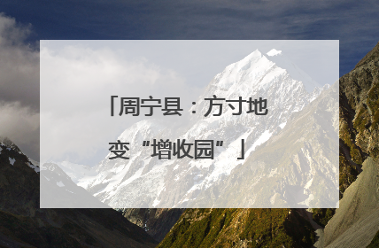 周宁县：方寸地变“增收园”