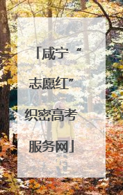 咸宁“志愿红”织密高考服务网