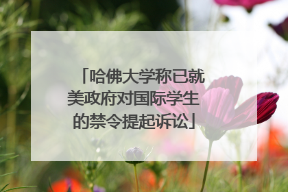 哈佛大学称已就美政府对国际学生的禁令提起诉讼