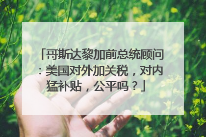 哥斯达黎加前总统顾问：美国对外加关税，对内猛补贴，公平吗？