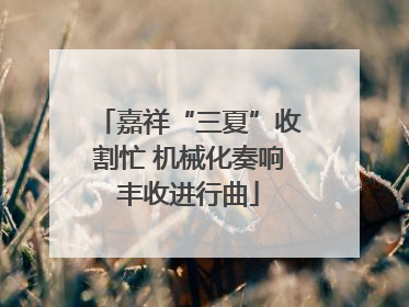 嘉祥“三夏”收割忙 机械化奏响丰收进行曲