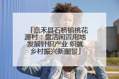 嘉禾县石桥镇桃花源村：盘活闲置用地发展针织产业 织就乡村振兴新图景