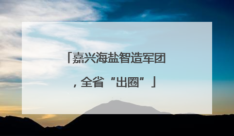 嘉兴海盐智造军团，全省“出圈”