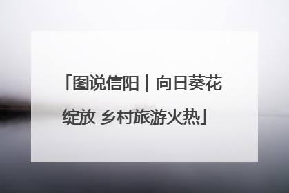 图说信阳｜向日葵花绽放 乡村旅游火热