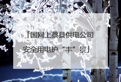 国网上蔡县供电公司安全用电护“丰”景