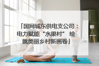 国网城东供电支公司：电力赋能“水果村” 绘就美丽乡村新画卷