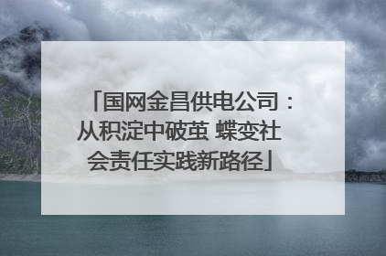 国网金昌供电公司：从积淀中破茧 蝶变社会责任实践新路径