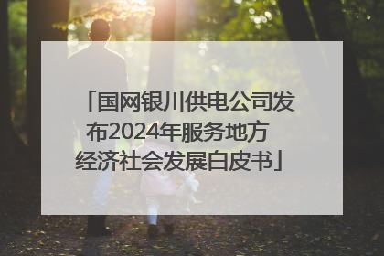 国网银川供电公司发布2024年服务地方经济社会发展白皮书