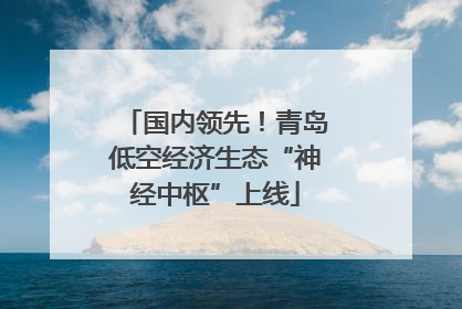国内领先！青岛低空经济生态“神经中枢”上线