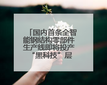 国内首条全智能钢结构零部件生产线即将投产 “黑科技”层出不穷