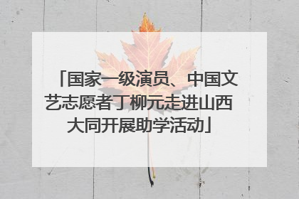 国家一级演员、中国文艺志愿者丁柳元走进山西大同开展助学活动