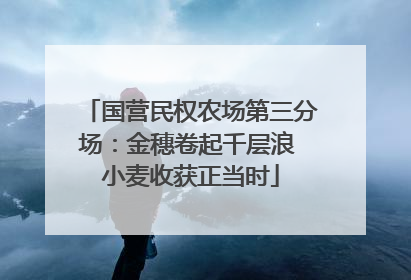 国营民权农场第三分场：金穗卷起千层浪 小麦收获正当时