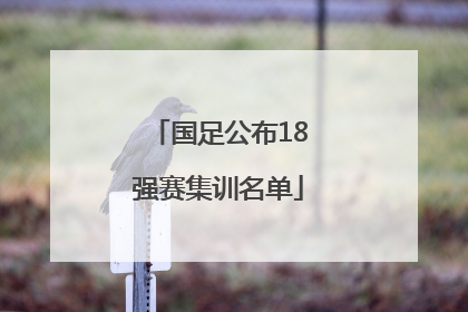 国足公布18强赛集训名单