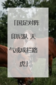 国足对阵印尼队 天气或成拦路虎