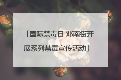 国际禁毒日 邓南街开展系列禁毒宣传活动