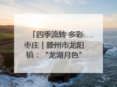 四季流转 多彩枣庄｜滕州市龙阳镇：“龙湖月色”向日葵花海 绘就乡村振兴新画卷