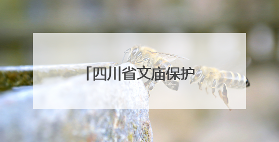 四川省文庙保护联盟在德阳成立，将建立全省文庙保护信息共享平台