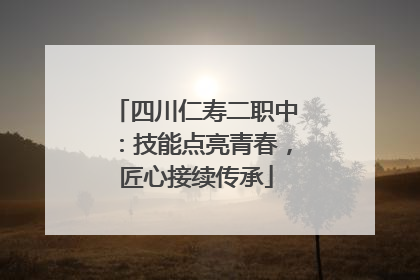四川仁寿二职中：技能点亮青春，匠心接续传承
