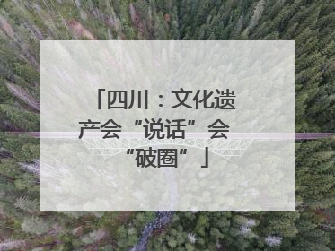四川：文化遗产会“说话”会“破圈”